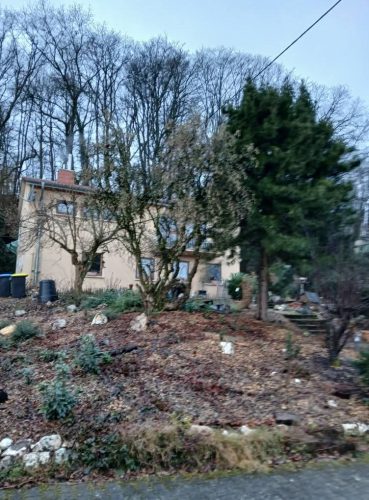 Dwustanowiskowy garaż drewnopodobny